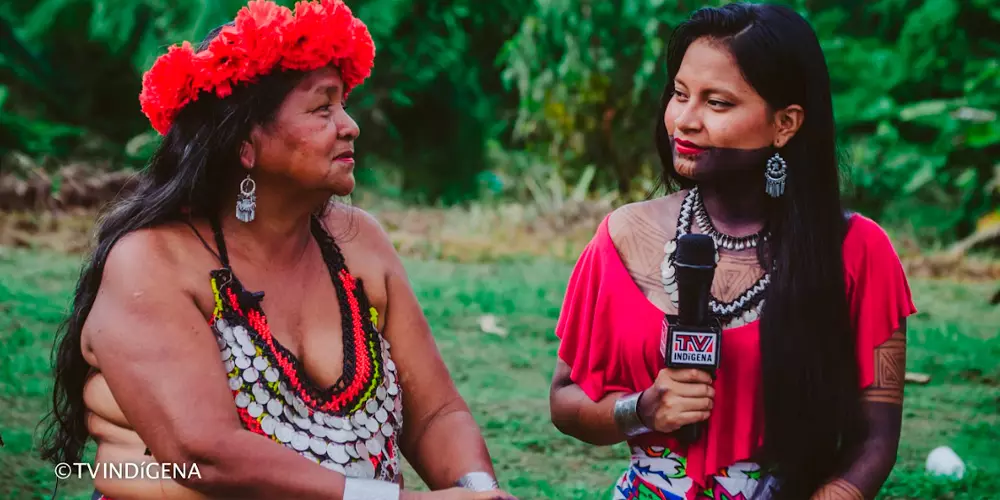 Tv Indigena - Consultoría